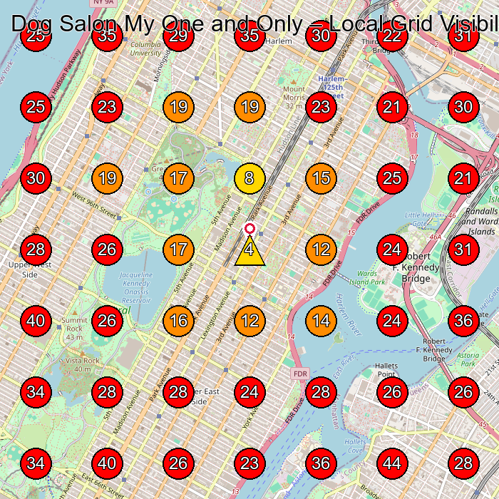 Dog Salon My One and Only GeoGrid visibility map for Dog Day Care Center in New York